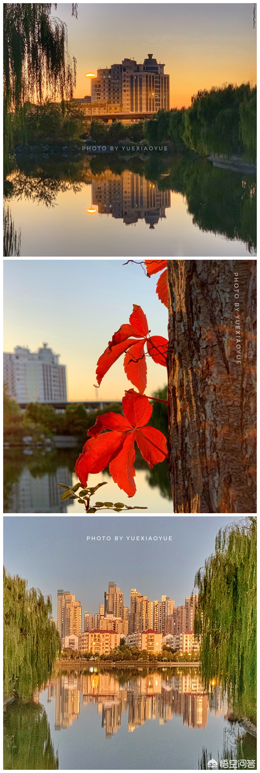 天津哪个风景最美