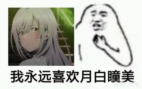 最新动漫推荐，2025年最新动漫推荐