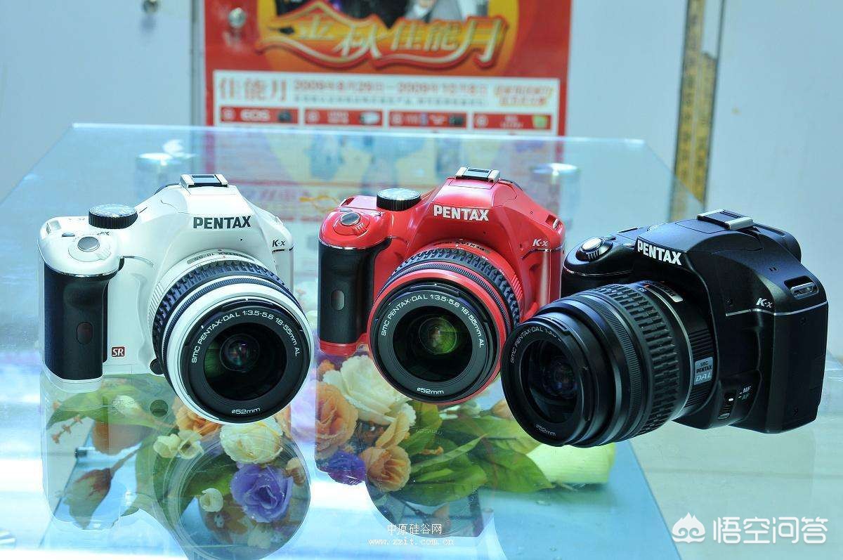 pentax相机(画质最好的宾得相机?) pentax相机(画质最好的宾得相机?)