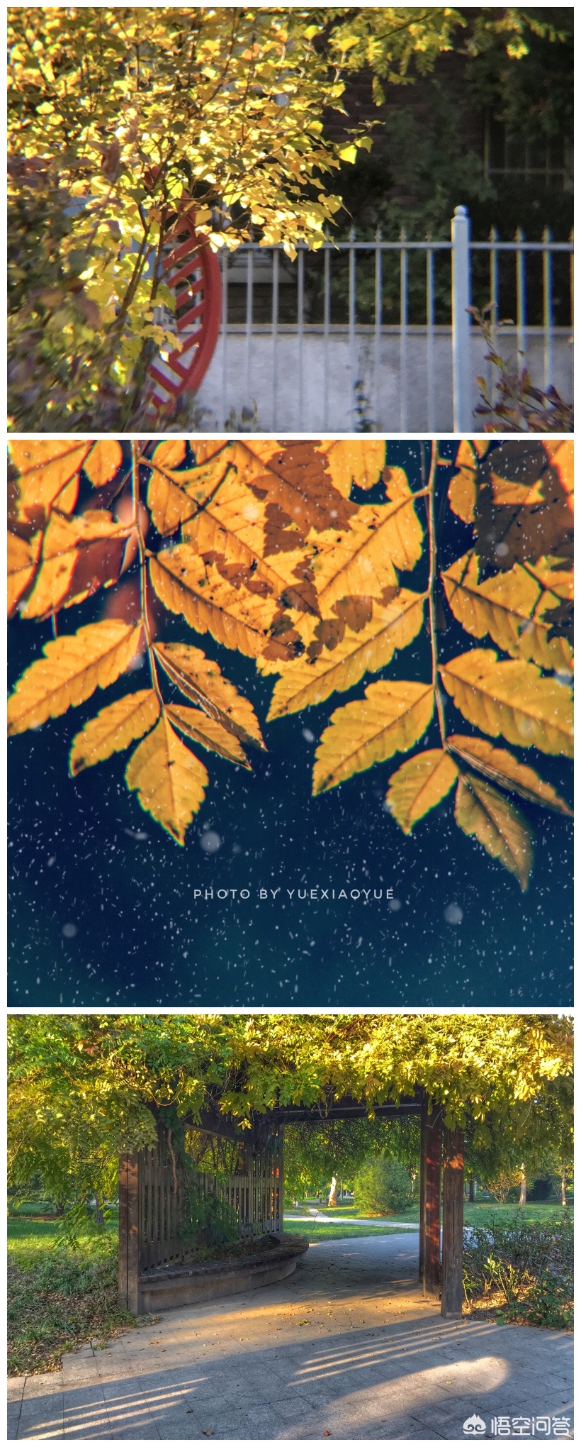 天津哪个风景最美