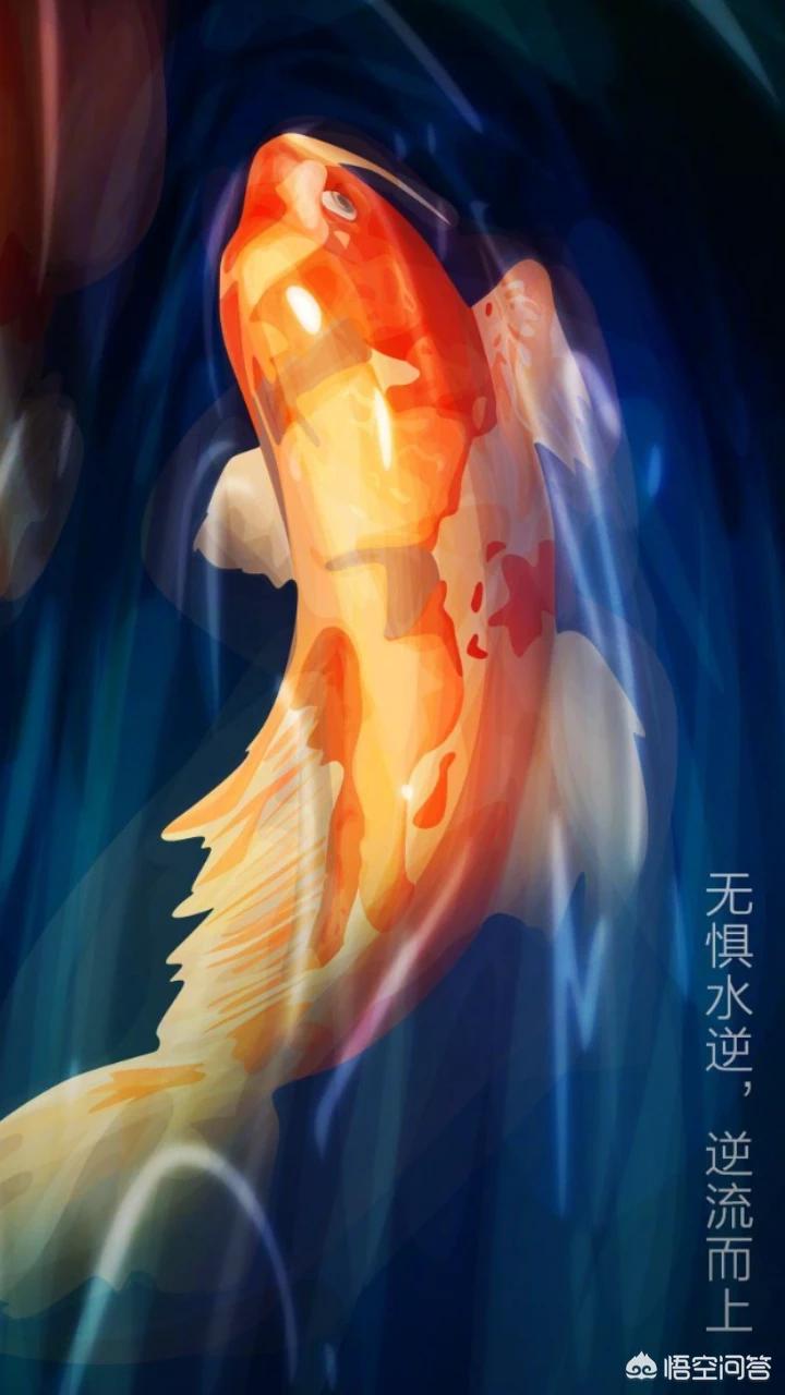 十年海外生活结尾感慨，十年海外生活结尾感慨句子