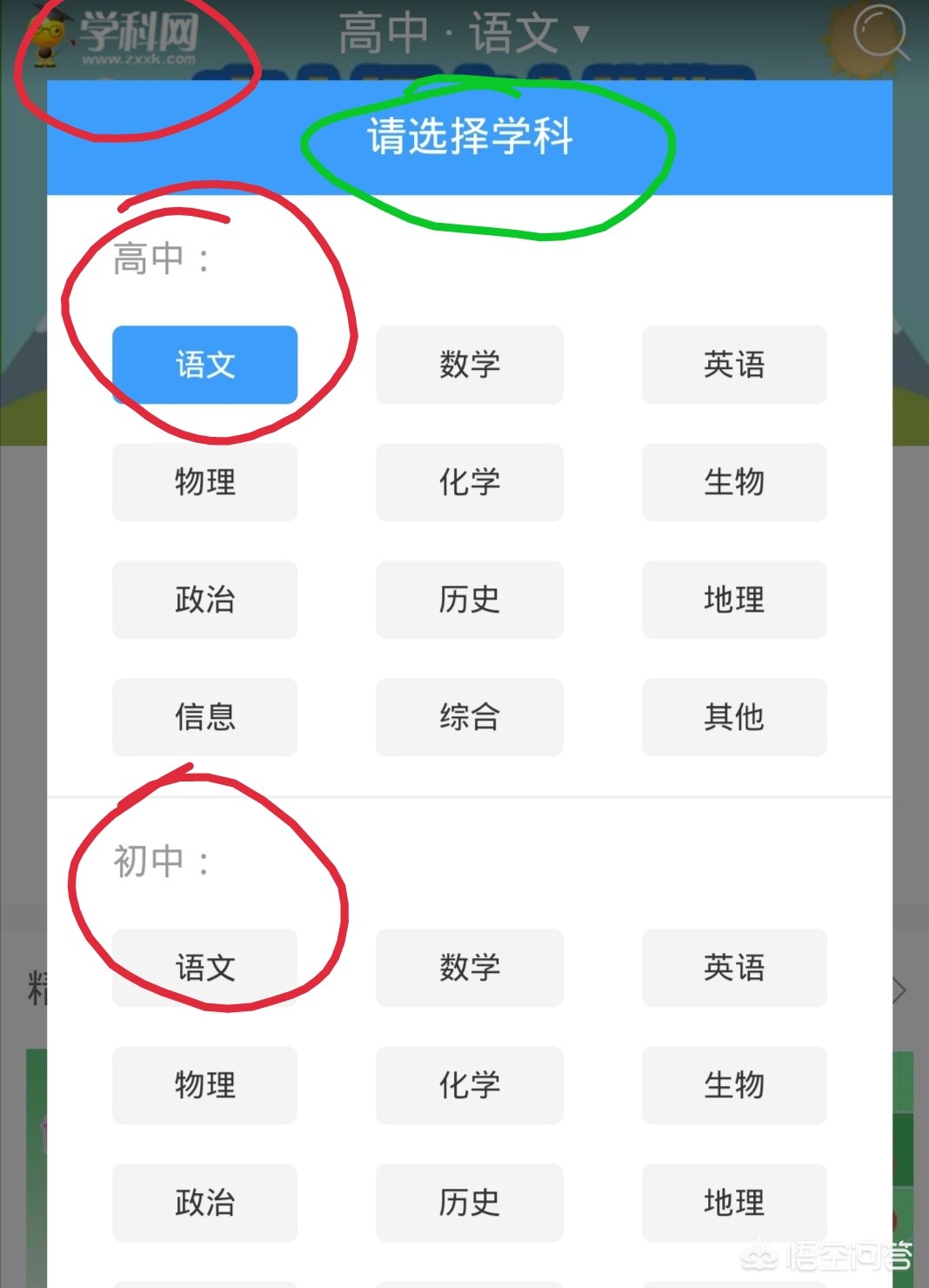 怎么搭建网站小学语文