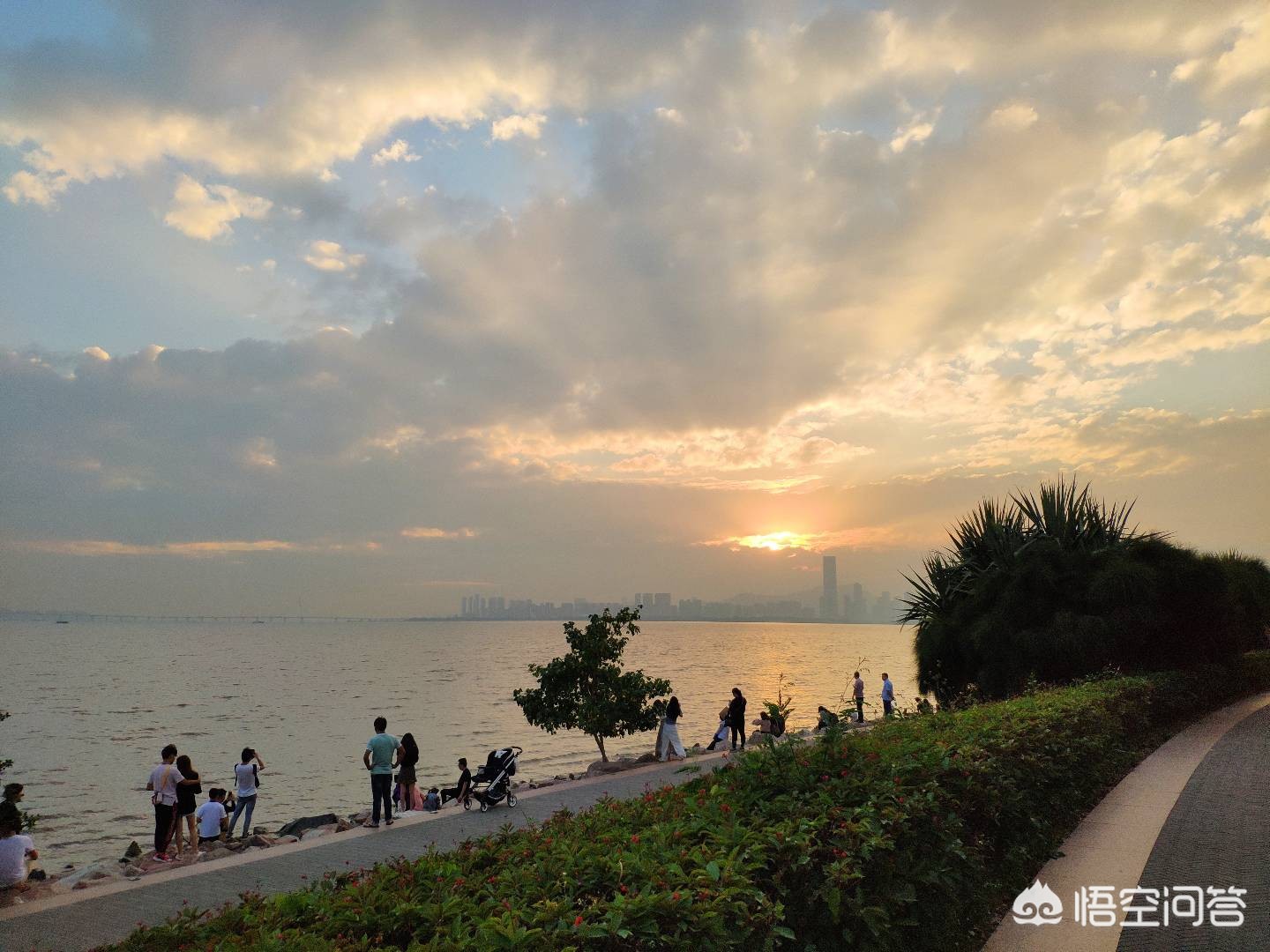 厦门市和鼓浪屿哪个好点