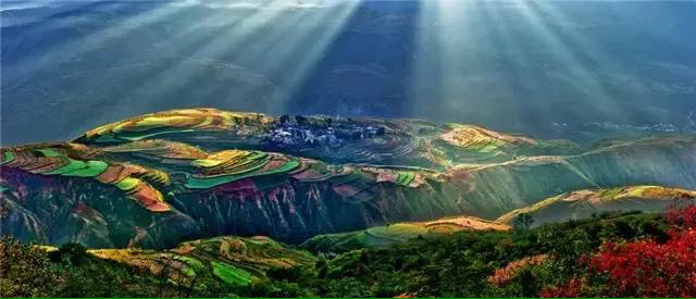 年年七夕都单身文案？：七夕单身