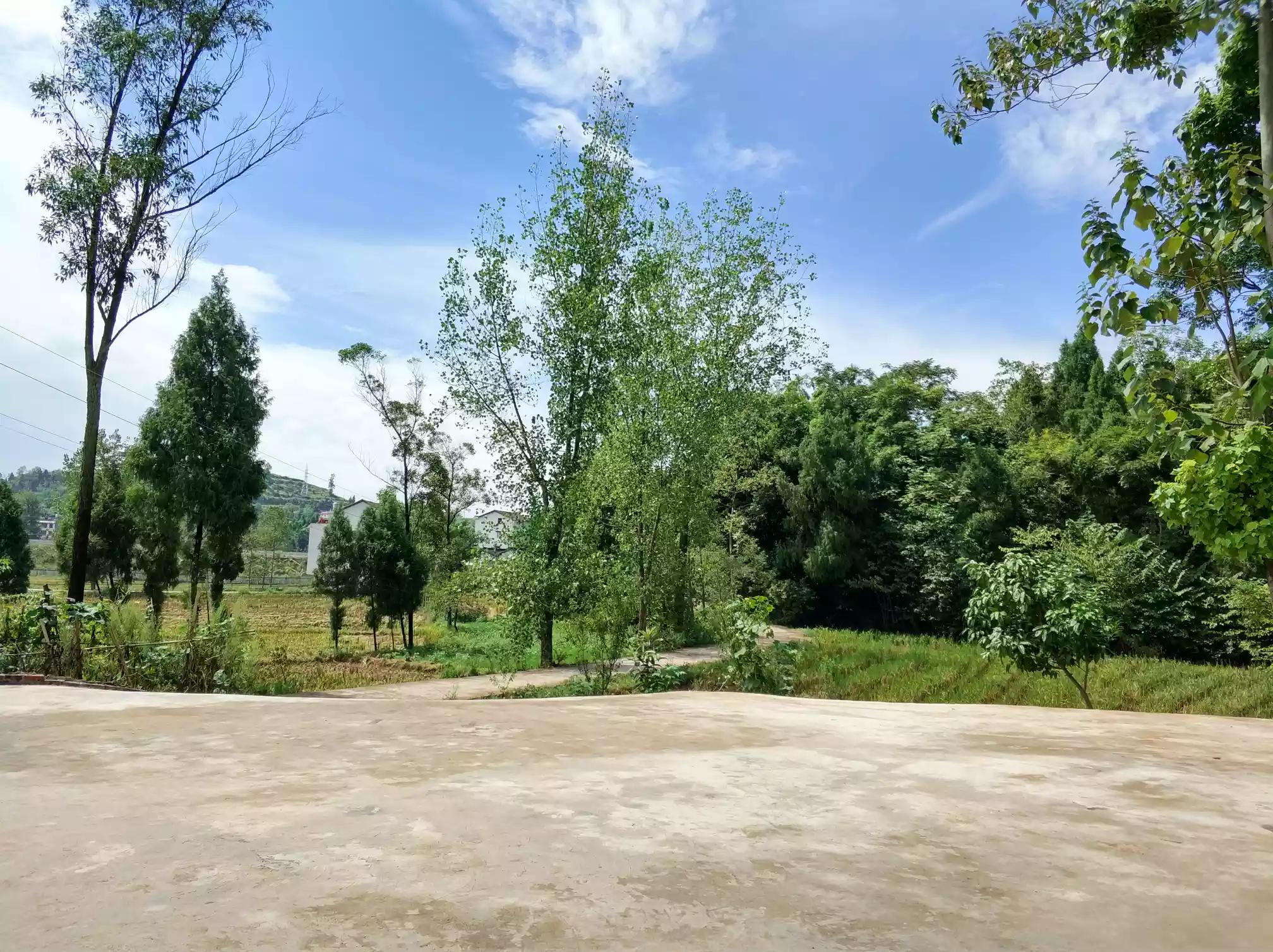 [小米6测评]充电器上面有三种输出，那么小米6到底属于哪一种？