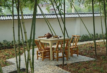 桂林老家有个现成的场地，旁边有鱼塘，养点什么好呢？