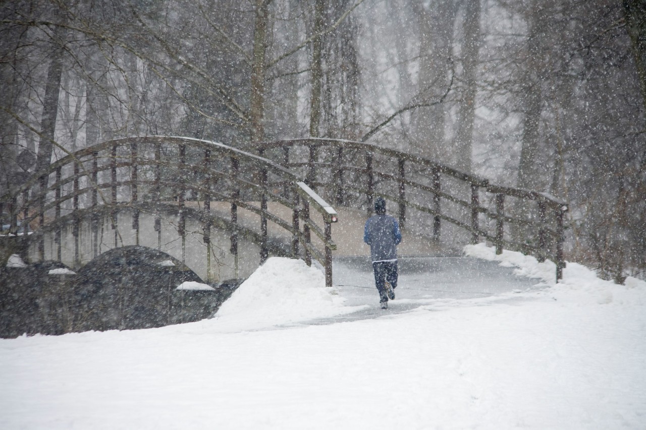 《认真的雪》歌词中：已经十几年没下雪的上海，到底是指那个时代？-图1