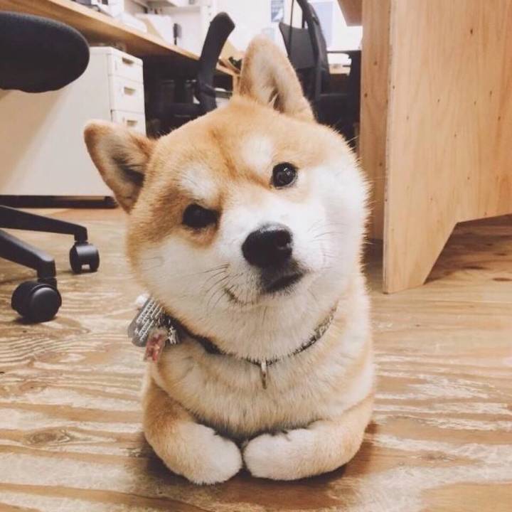 心机化妆的技巧
