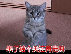 安宁婚纱摄影，安宁婚纱摄影哪家好
