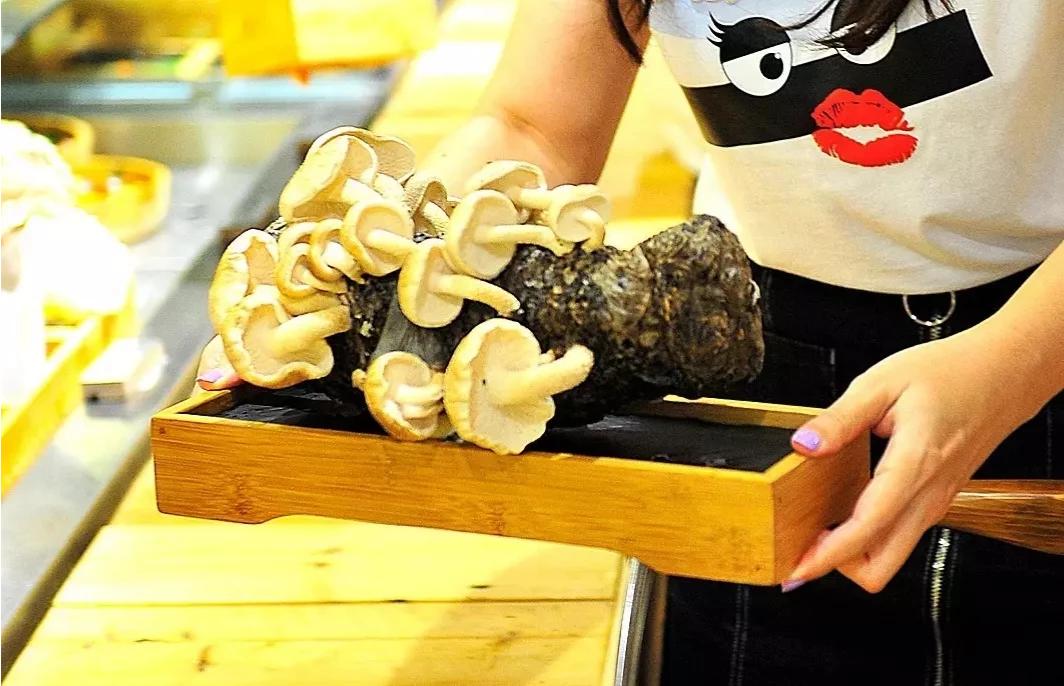 大连市都有什么火锅店