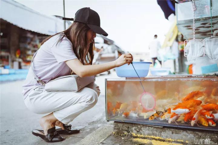 南宁的夏天是怎么样? 南宁的夏天是怎么样?