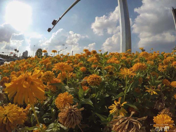 南宁的夏天是怎么样? 南宁的夏天是怎么样?