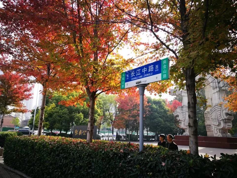 合肥长江中路要封闭施工进行改造吗？