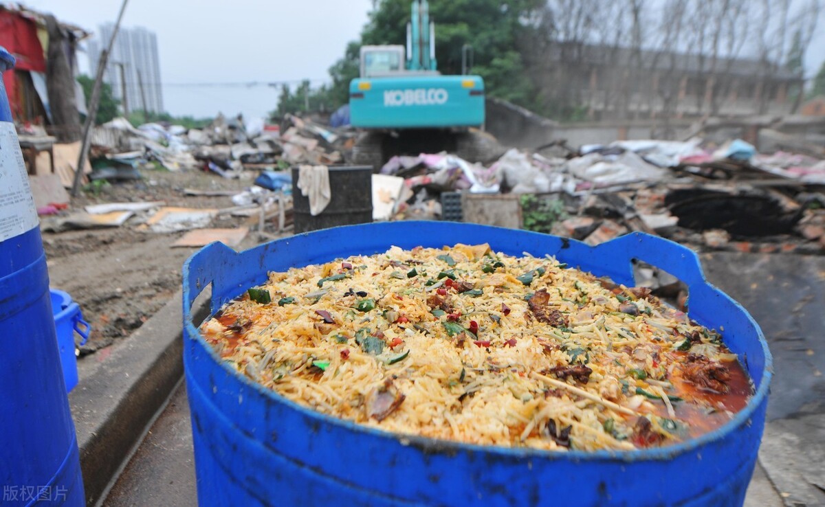 当学生面吃泔水剩饭（如果泔水猪，与饲料猪一样价格，到底哪一种好？）