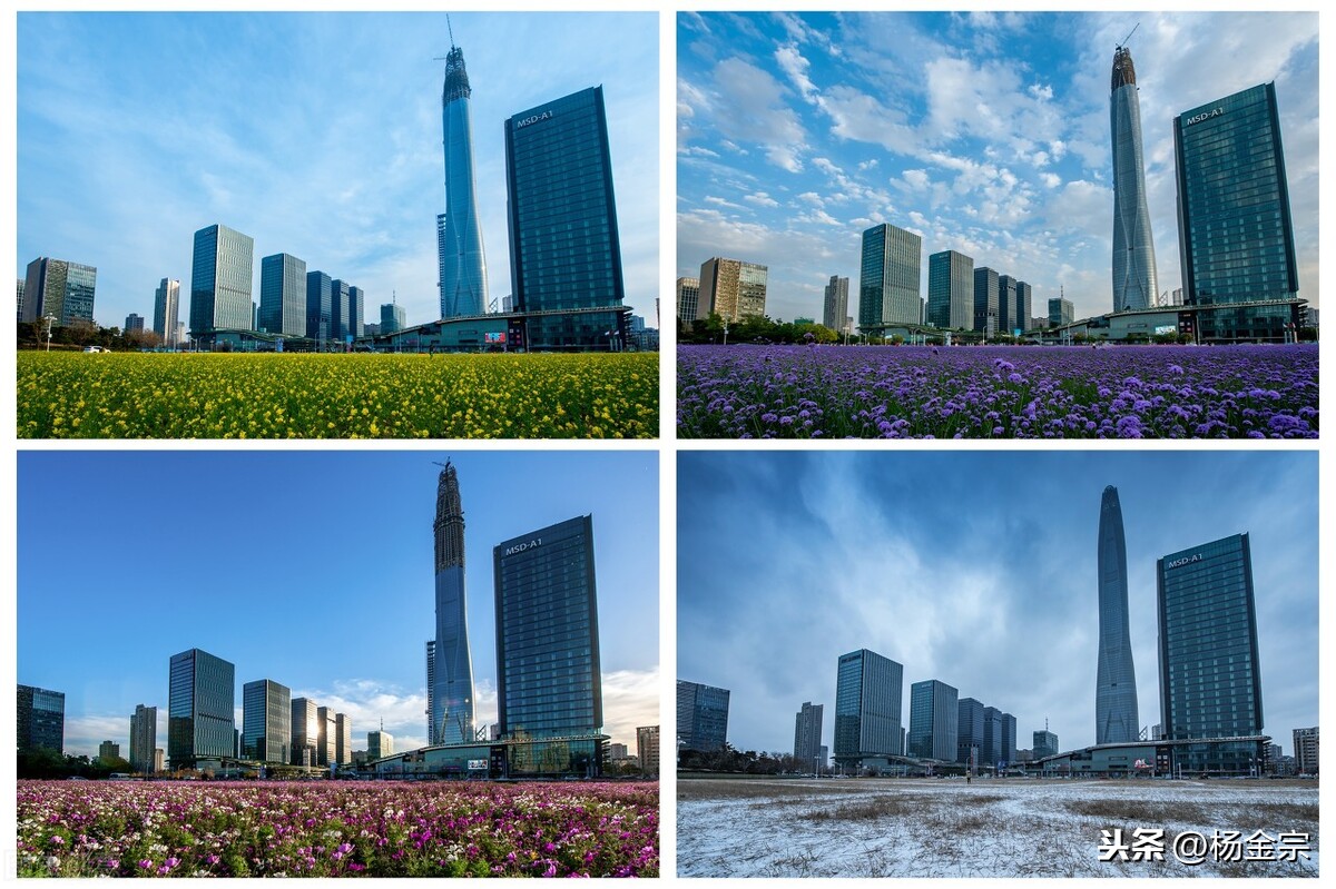 天津新区哪个小区房多些 天津新区哪个小区房多些