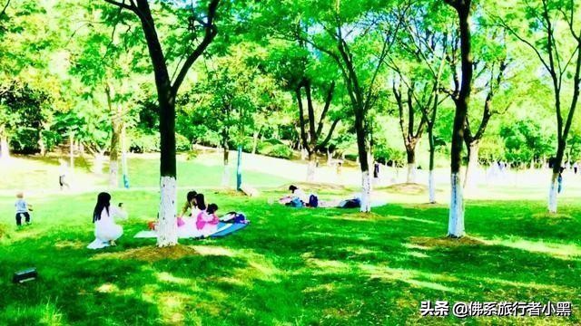 苏州市哪个公园最好看的