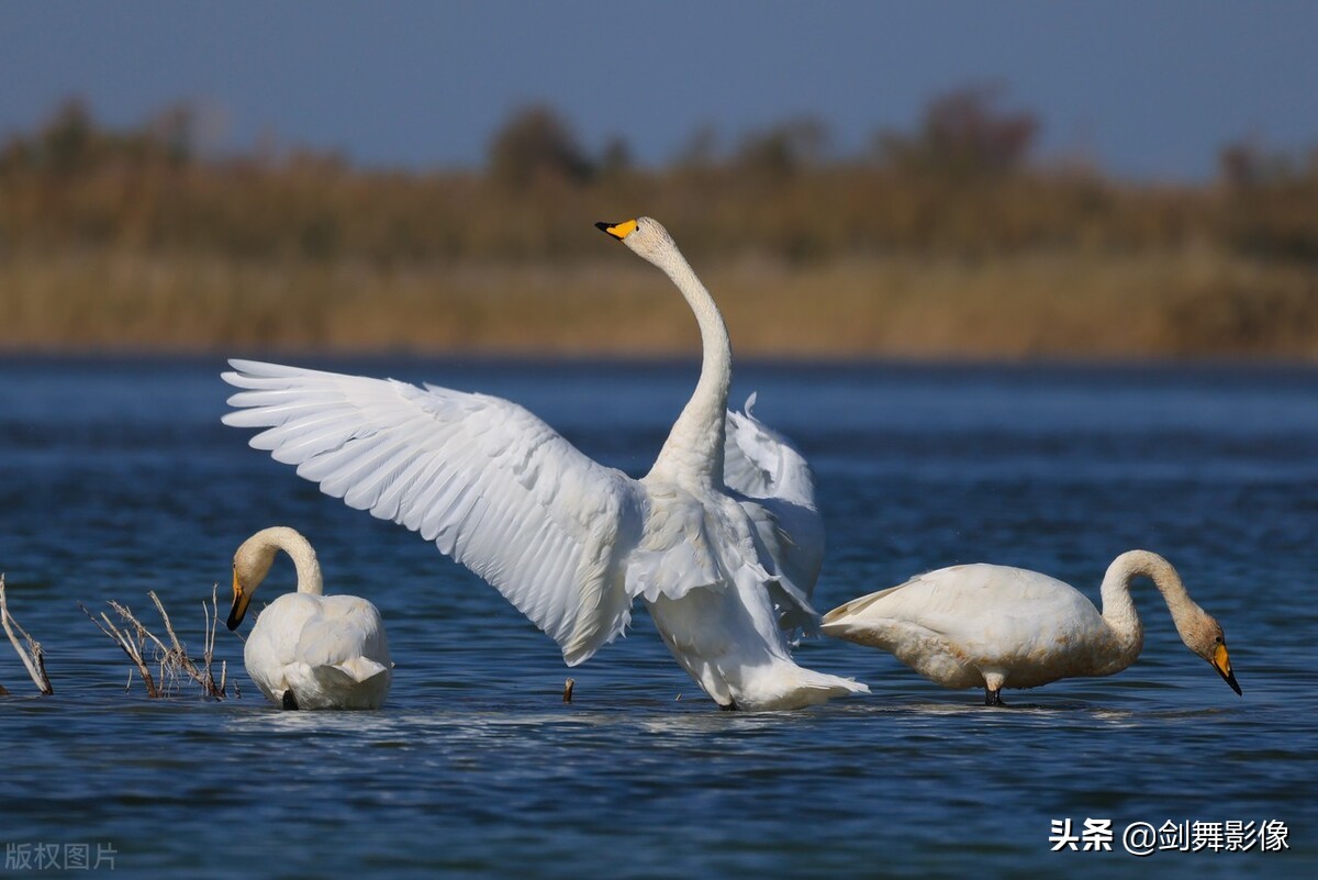 [佳能大三元]佳能镜头的大三元指的是什么？
