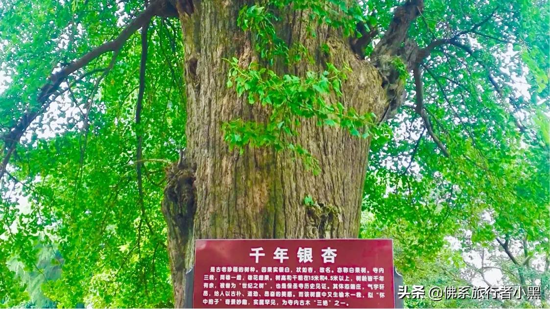 苏州市什么古镇最好玩的 苏州市什么古镇最好玩的