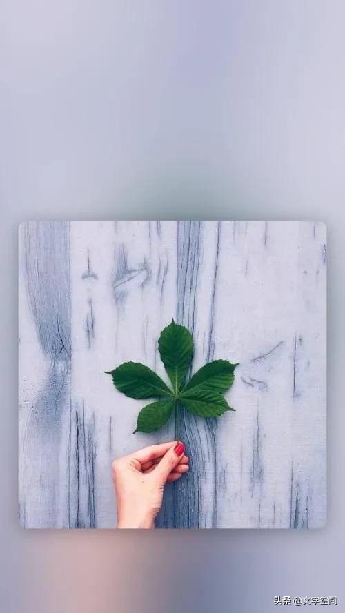 闺蜜送的美妆好物推荐
