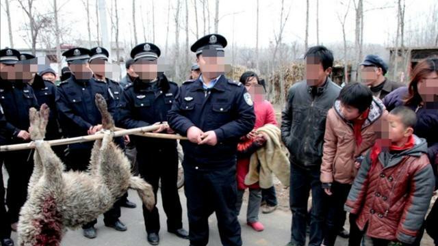 汽车资讯汽车资讯汽车资讯，汽车 资讯