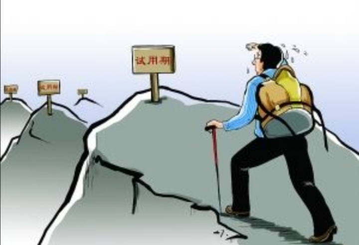 怎么通过怎么通过车牌号查车主姓名