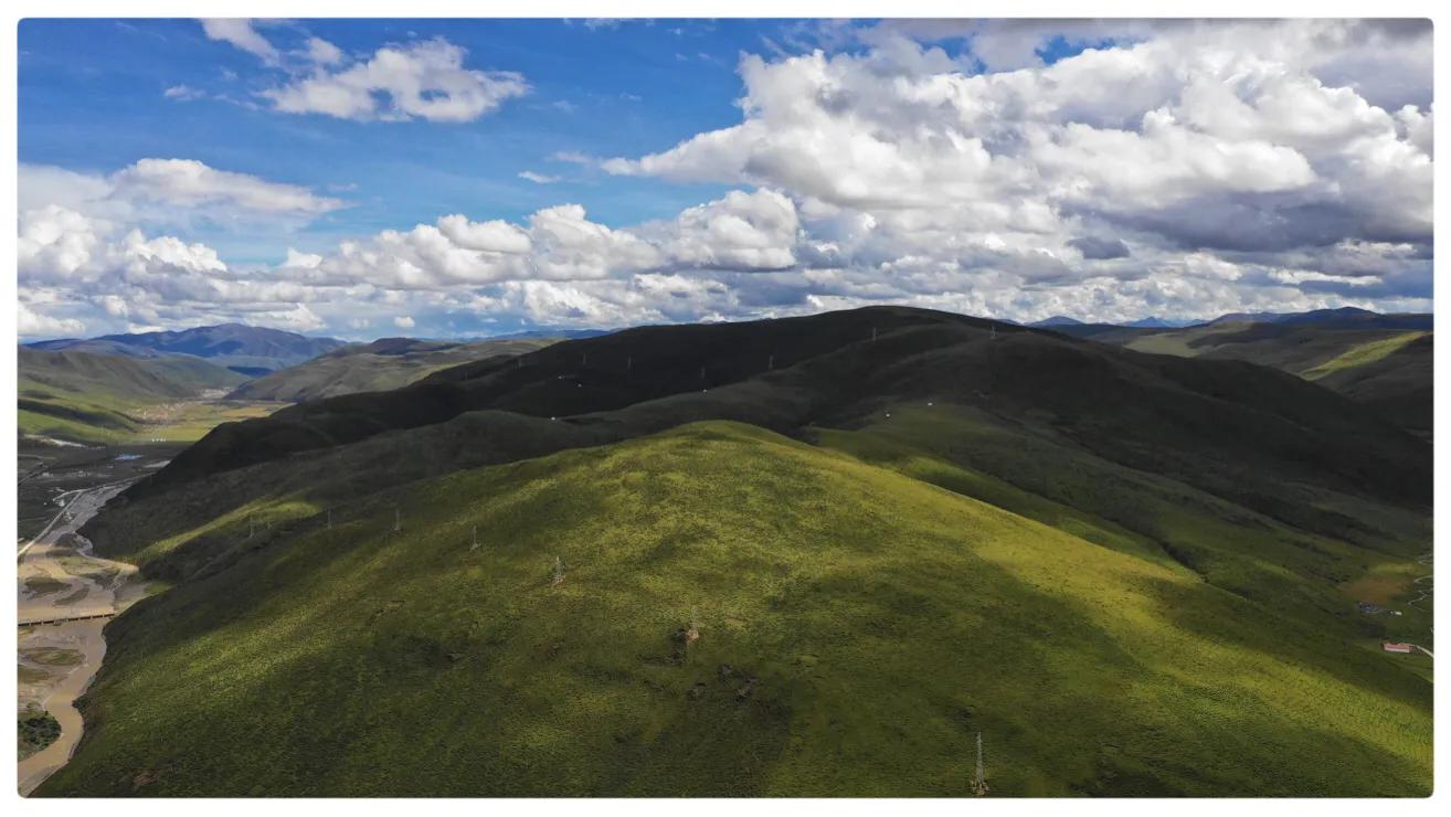燕子的图片燕子的图片真实照片