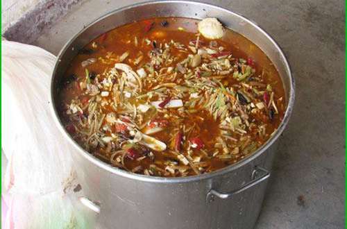 当学生面吃泔水剩饭（如果剩饭剩菜里有猪肉，猪会吃吗？）