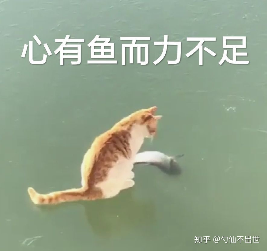宝马汽车怎么样