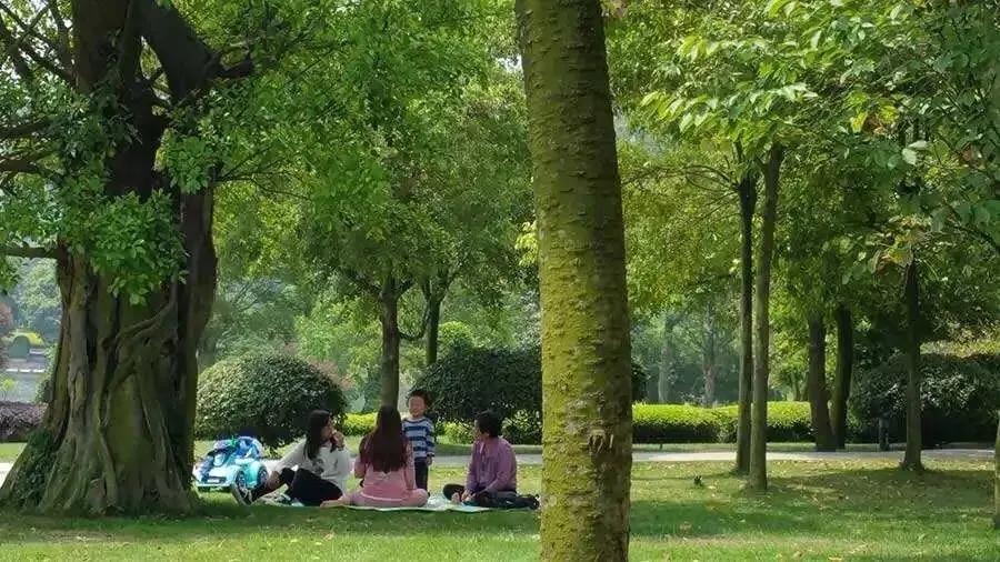 一地登革热疫情上升