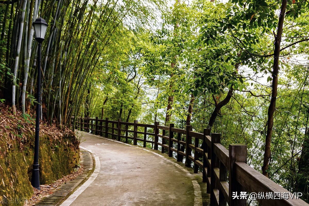 广州市流溪河是什么