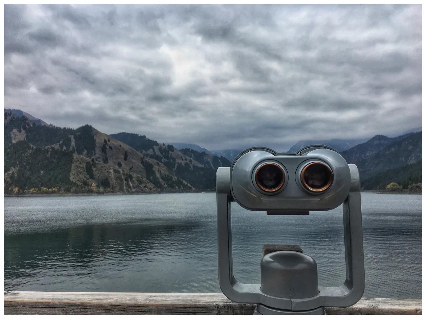 燕子的图片燕子的图片真实照片 燕子的图片燕子的图片真实照片