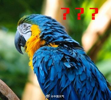 广东特大暴雨将来袭（广州下特大暴雨，打算街上搞几条鱼吃？请问捉鱼需要哪些技巧？）