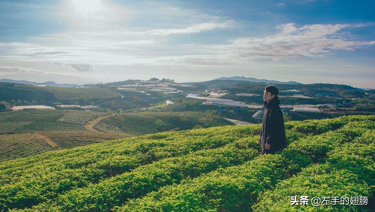 怎么能让（如何让自己变得心狠？）