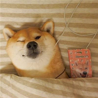 现在有和内涵段子差不多的软件嘛?:内涵段子app 现在有和内涵段子差不多的软件嘛?:内涵段子app