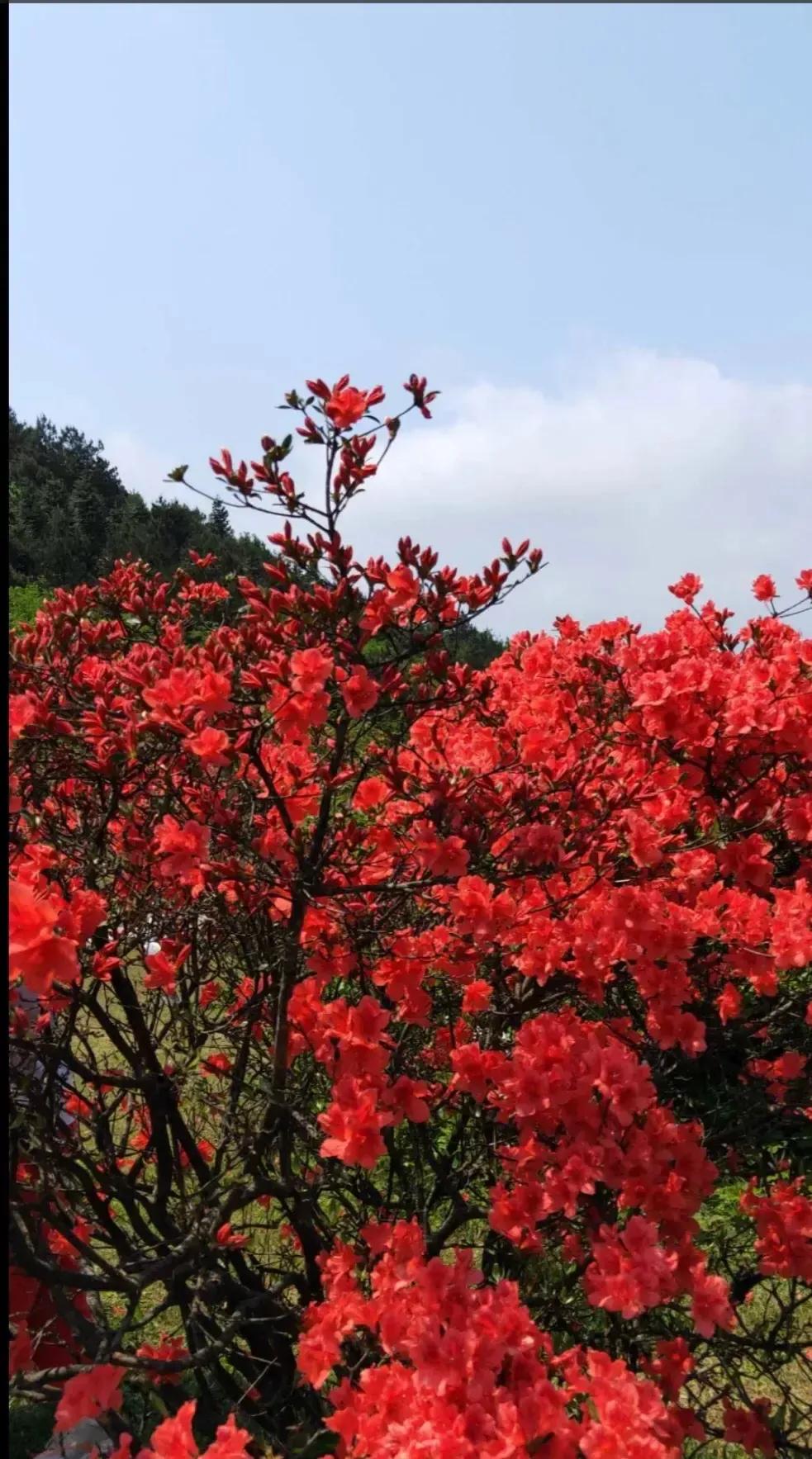 沈阳市到荣成怎么走方便