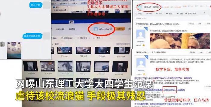 我很喜欢猫，但是总是虐猫，这是什么心理？：猫屋虐猫致4只猫死