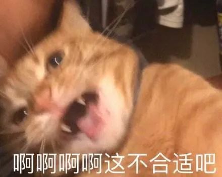 久坐要好好养屁股