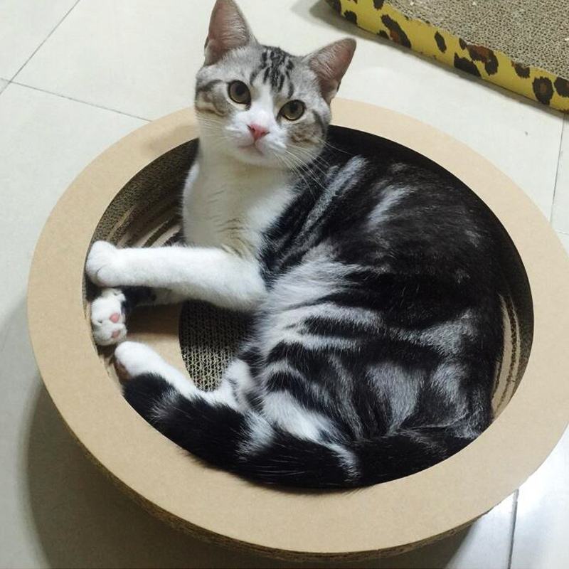 猫爬架测评美妆好物店铺
