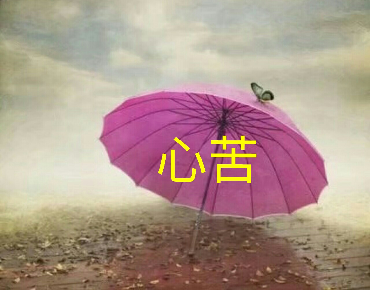 怎么破解怎么破解别人的wifi密码并看到密码呢 怎么破解怎么破解别人的wifi密码并看到密码呢