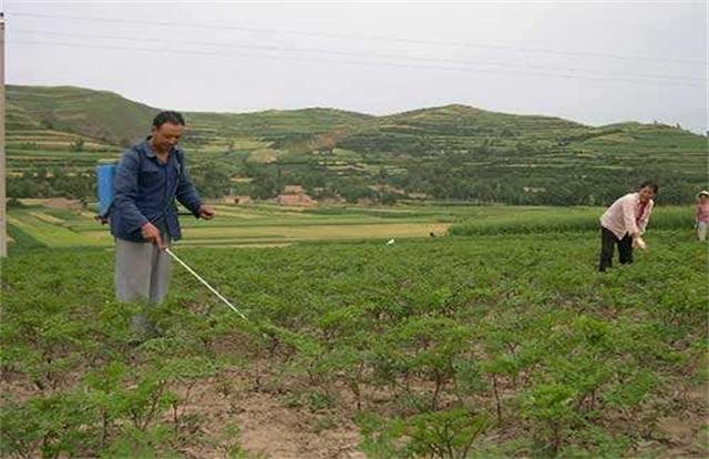 跨境电商移动营销技巧与工具​
