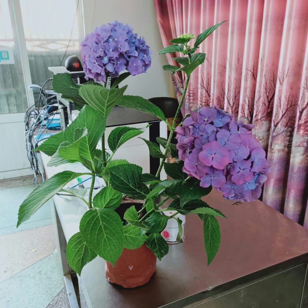 谈恋爱最重要的是谈（你觉得恋爱对你来说重要吗高情商回答？）