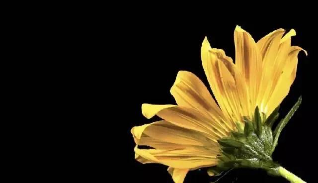 [黑色壁纸全黑]电脑屏幕总是自动变成黑色背景？