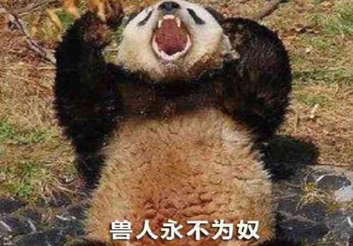 年轻人在福建上班怎么样