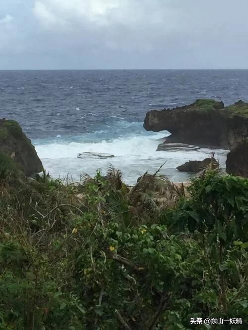 海外生活的真实经历，海外生活的真实经历作文