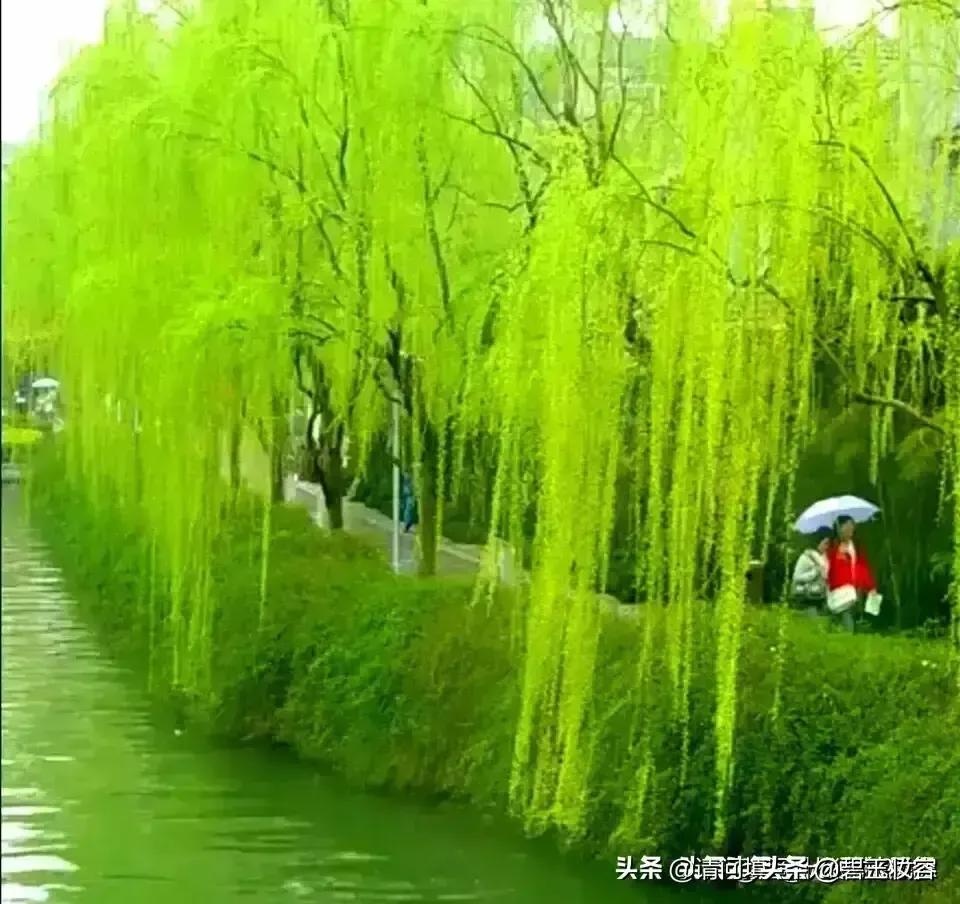 沈阳市到荣成怎么走方便