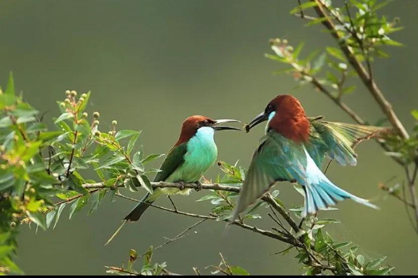 怎么能让(如何让自己变得心狠?) 怎么能让(如何让自己变得心狠?)