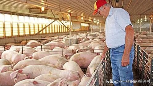 纯进口4米9汽车报价,纯进口4米9汽车报价及图片