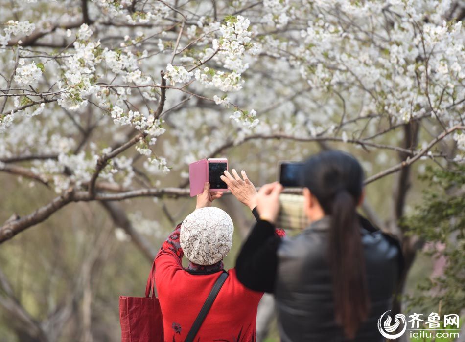 济南市五龙潭在哪个区 济南市五龙潭在哪个区