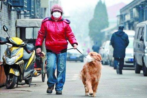 高铁上狂推前排座椅（高铁前排座位放倒有规定吗？）