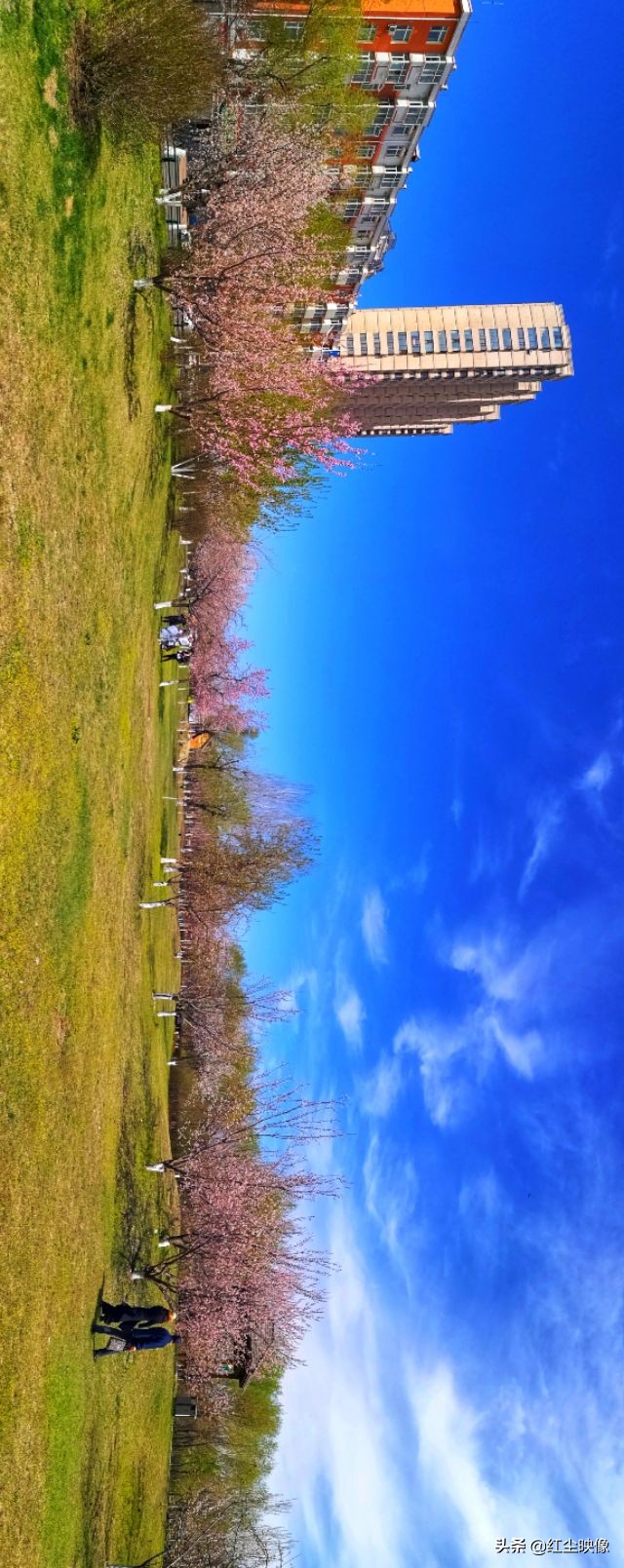 早上江边风景发朋友圈的句子?:江边风景图片 早上江边风景发朋友圈的句子?:江边风景图片